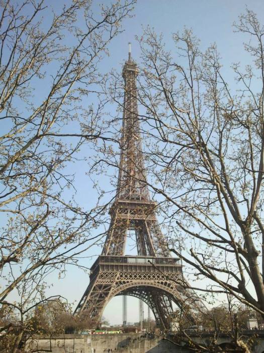 10641167_948873935129934_750499444829806271_n