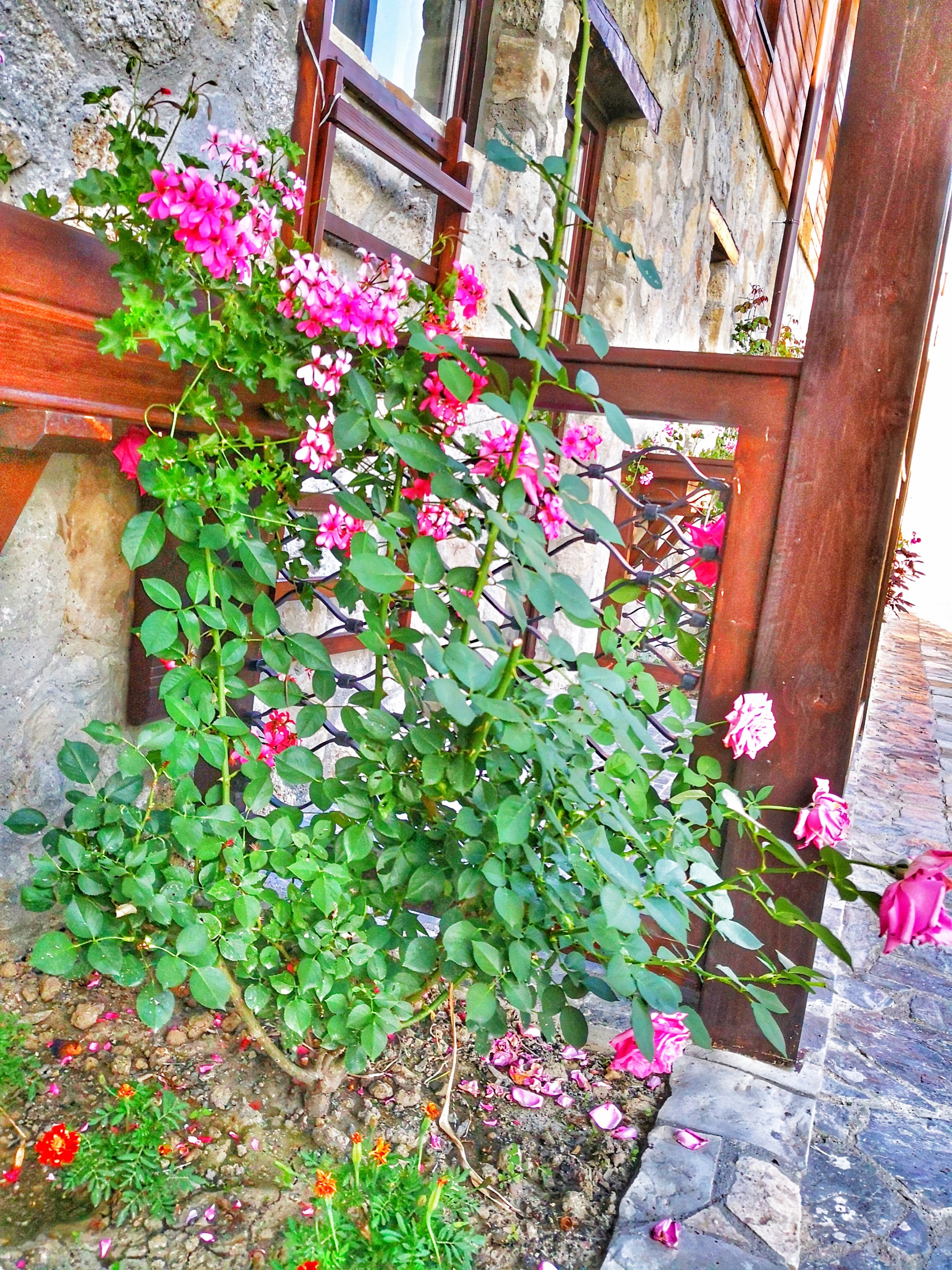 IMG_20180713_192904-01_resized_20180805_032610743