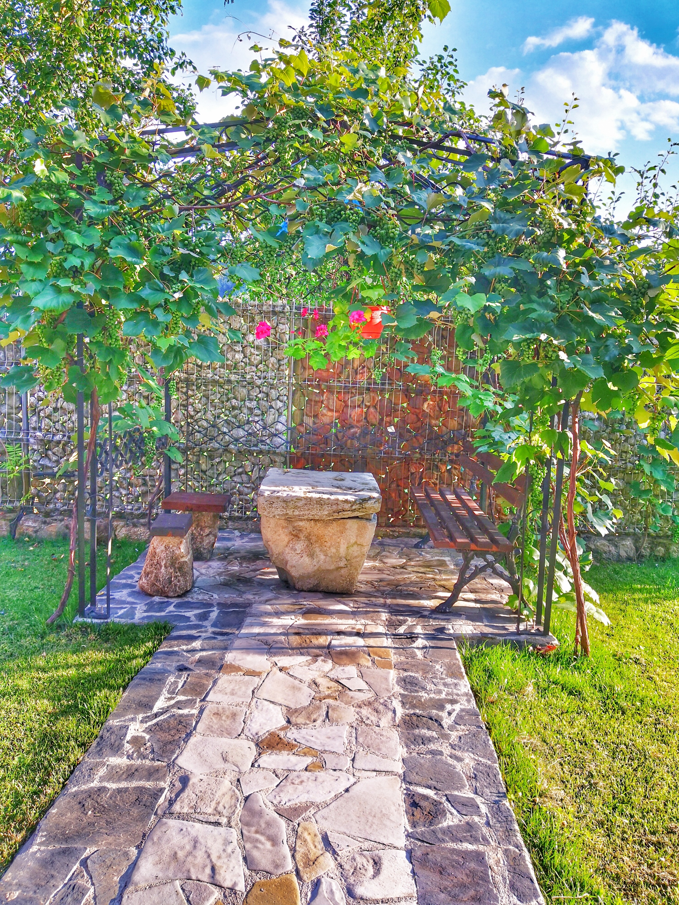 IMG_20180713_192917-01_resized_20180805_032611753